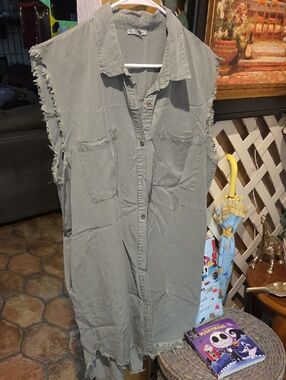 Sleeveless Button-Front Shirt Dress in Faded Sage